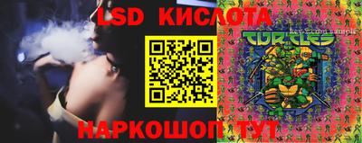 гидра Заволжье